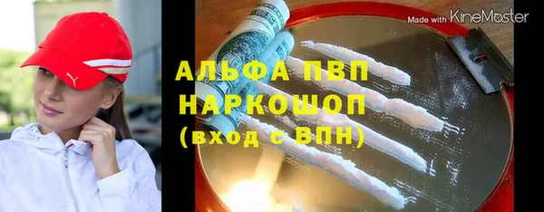 амф Гусев