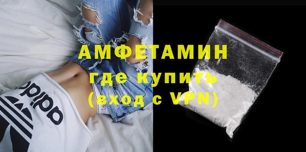 амф Гусев