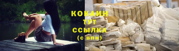 амф Гусев