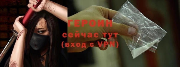 амф Гусев