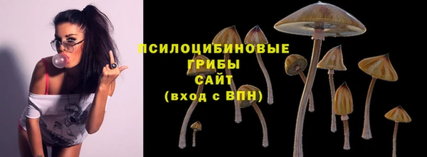 герыч Гусиноозёрск