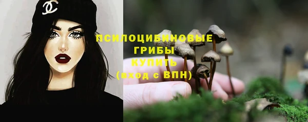 амф Гусев