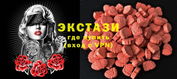 амф Гусев