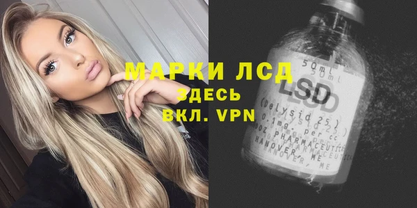 амф Гусев