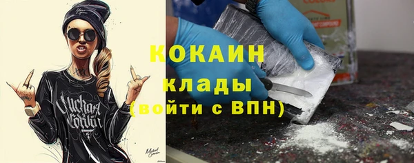 амф Гусев
